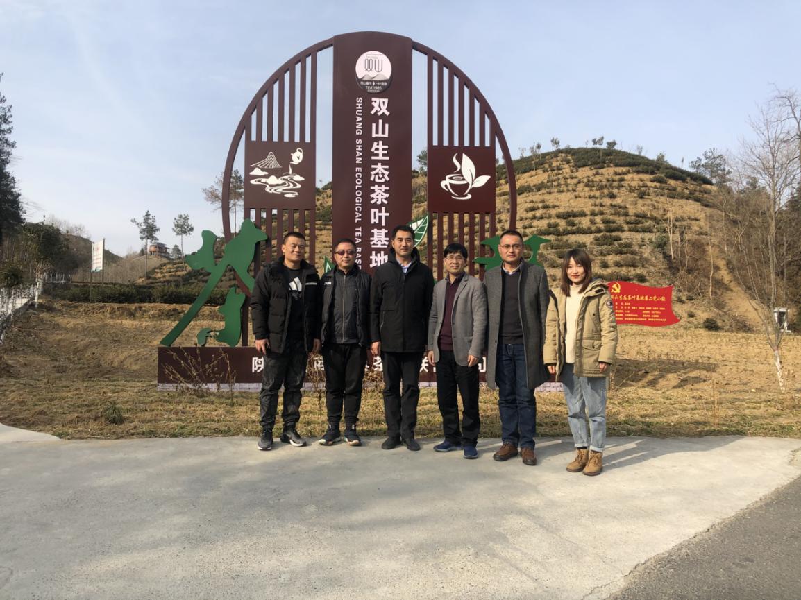ai体育官方指定端