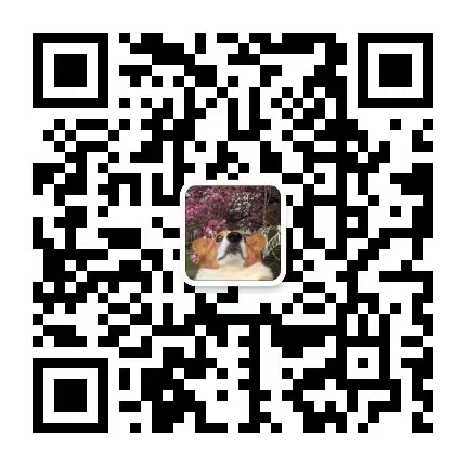 ai体育欧冠直播