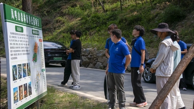 ai体育官方线路